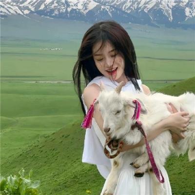 穿靴子的猫：萌猫三剑客